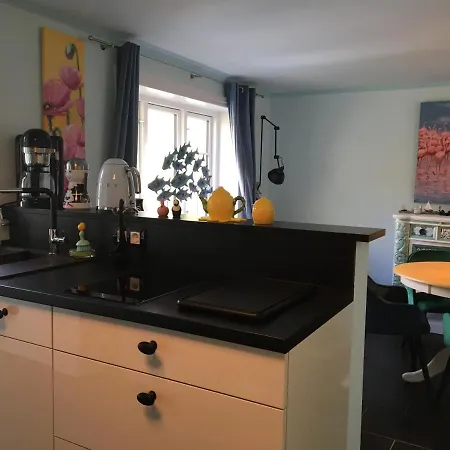 Ferienhaus - Sonnenhaus Dom wakacyjny Friedrichstadt