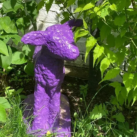 Dom wakacyjny Ferienhaus - Sonnenhaus Friedrichstadt