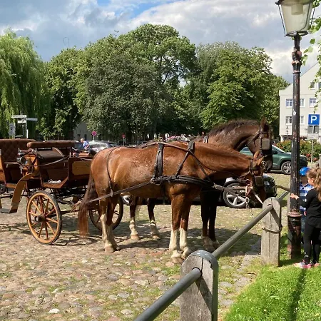 Dom wakacyjny Ferienhaus - Sonnenhaus Friedrichstadt