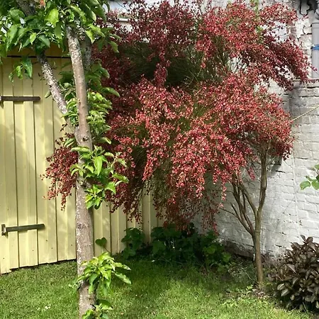 Ferienhaus - Sonnenhaus Dom wakacyjny