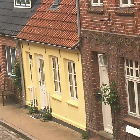 Dom wakacyjny Ferienhaus - Sonnenhaus Friedrichstadt